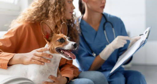 Veterinary Clinics